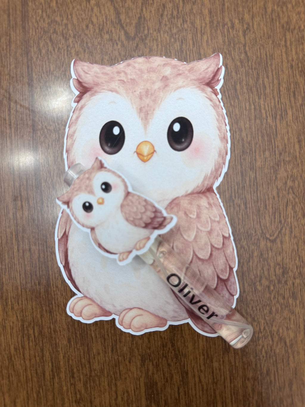 Personalized Owl Baby Shower Favors - Custom Woodland Birthday Spray Bottle Gift