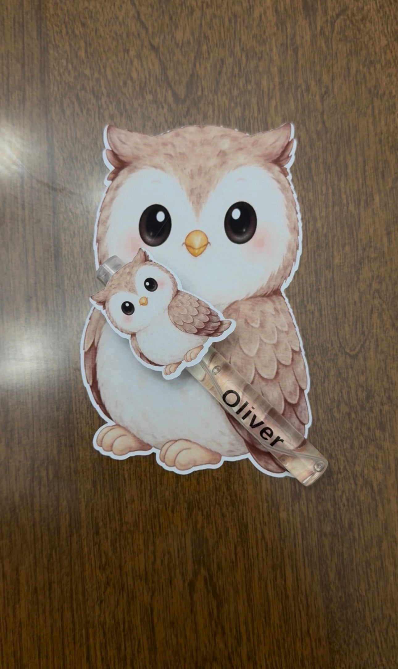 Personalized Owl Baby Shower Favors - Custom Woodland Birthday Spray Bottle Gift